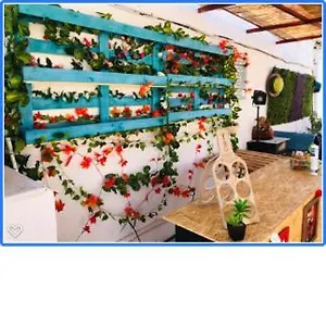 Albergue Faroway, Faro